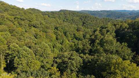 32.38 Ac Panther Creek Road, Sneedville, TN 37869