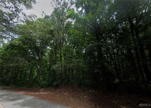 Baptist Campground Road, Northport, AL 35473