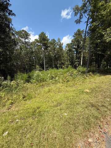 WOODLAND Cir, Jasper, AL 35504