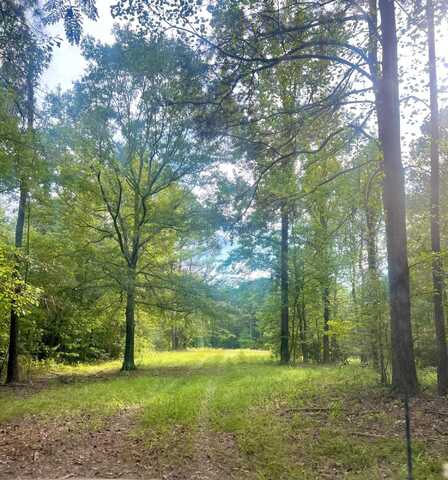 NETHERY ROAD, Dora, AL 35062