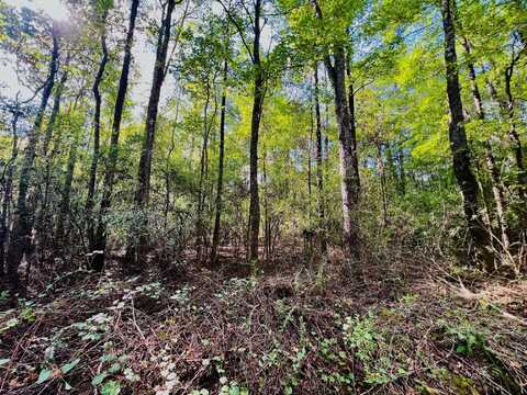 00 BLACK Ln, Jasper, AL 35503