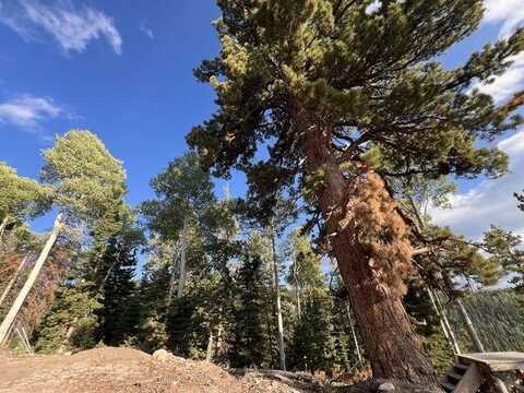 Ponderosa West Village, Beaver, UT 84713