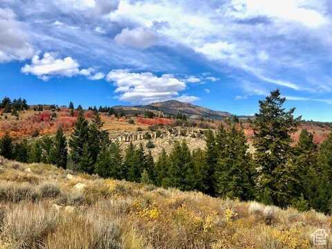 1745 W CEDAR RIDGE, Garden City, UT 84028