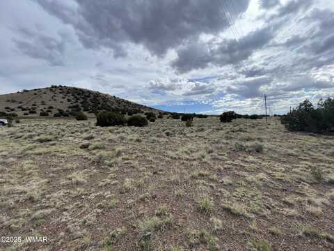 03 Aspen Drive, Concho, AZ 85924