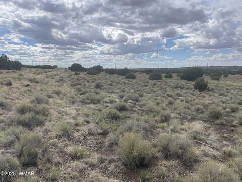 01 Aspen Drive, Concho, AZ 85924