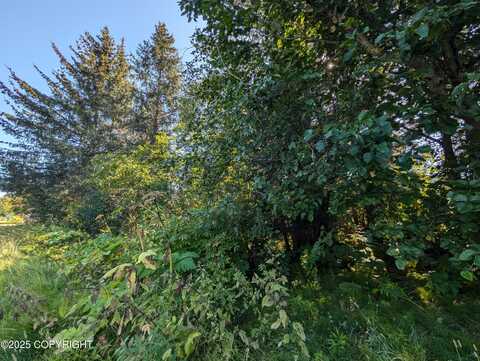 435 Soundview Avenue, Homer, AK 99603