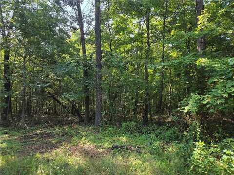 Pamela LN, Bella Vista, AR 72715