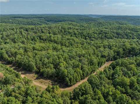 Ravenwood LN, Yellville, AR 72687