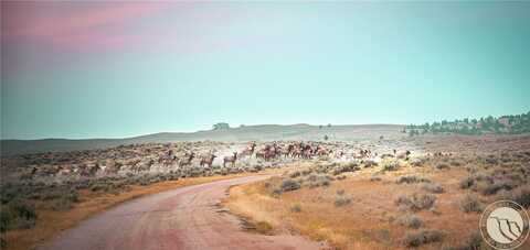 300 Acres N Dry Creek Road, Bridger, MT 59014