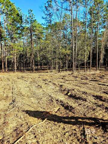 11040 County Road 138, Bay Minette, AL 36507