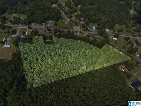 0 SYCAMORE STREET, JEMISON, AL 35085