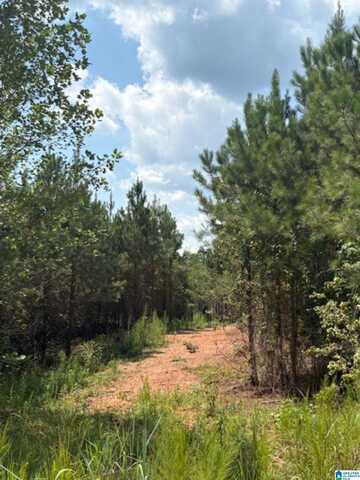 COUNTY ROAD 472, CLANTON, AL 35046