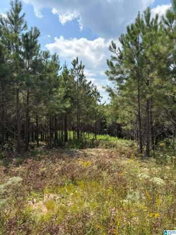 COUNTY ROAD 472, CLANTON, AL 35046