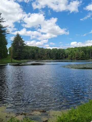 275 Holl Road, Pittsfield, NY 13411