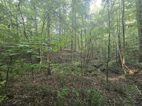 Pine Grove Church Road, Culloden, GA 31016