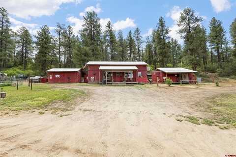 1199 & 1242 E Stollsteimer Road, Pagosa Springs, CO 81147