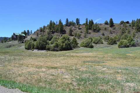 1733 Harvard Avenue, Pagosa Springs, CO 81147