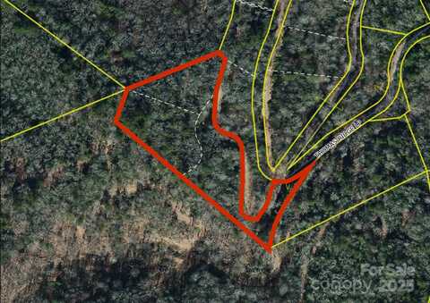 Thomas Ridge Loop, Green Mountain, NC 28740
