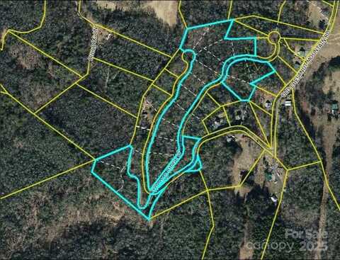 Thomas Ridge Loop, Green Mountain, NC 28740