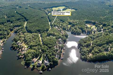 426 Plantation Way, Mount Gilead, NC 27306
