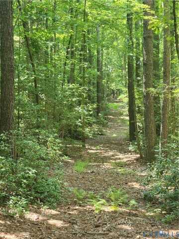 Purkins Road, Millers Tavern, VA 22560