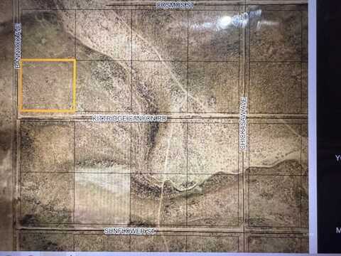 Kittridge Canyon Road, Elko, NV 89801