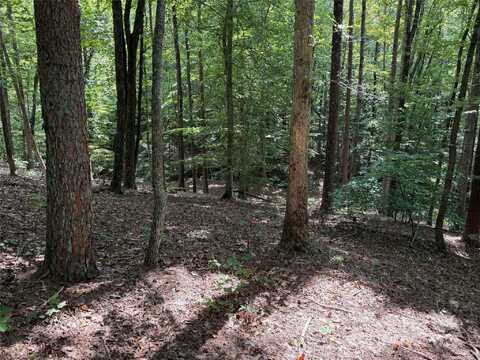 0 Mountain Brook Trail 298, Nebo, NC 28761
