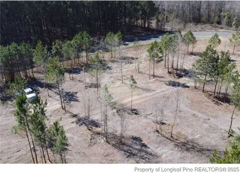 Newkirk Extension, Elizabethtown, NC 28337