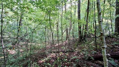 Cross Creek circle, Sylva, NC 28779