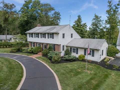25 Fawn Dr, Raritan, NJ 08822