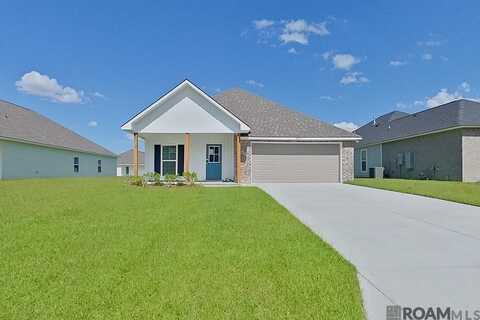 22858 Balsam Ave, Denham Springs, LA 70726