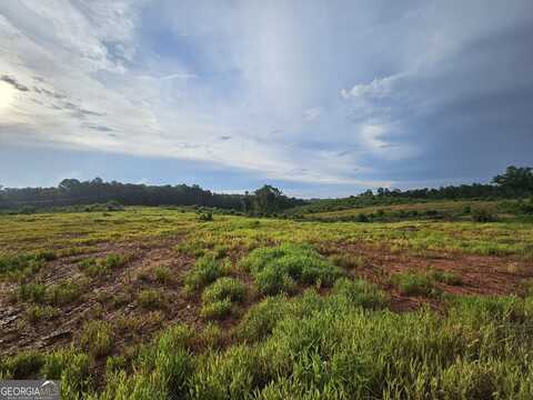 Tract 2 Thornto Thornton, Elberton, GA 30635