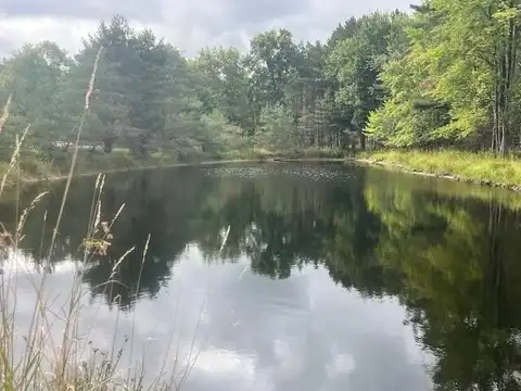 2269 W Treml Road, Free Soil, MI 49411