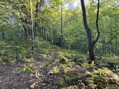 15198 Penesal Rd, Leroy, MI 49655