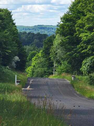 Maxey Road, Arcadia, MI 49613