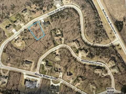 201 Forest Oak Drive, Hollister, MO 65672