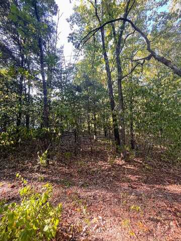 000 Hickory Avenue, Merriam Woods, MO 65740