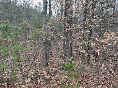 Blue Springs Way lot: 23, Newport, TN 37821
