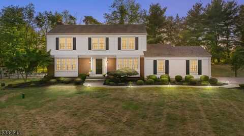 10 Robert Dr, Clinton, NJ 08833