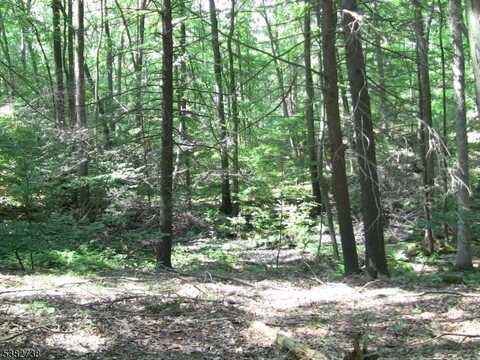 8 Cub Lake Rd, Byram Twp., NJ 07821