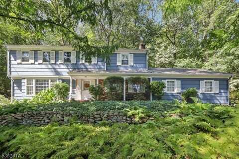 840 Mountain Way, Whippany, NJ 07950