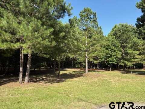 208 Pack Saddle, Holly Lake Ranch, TX 75765