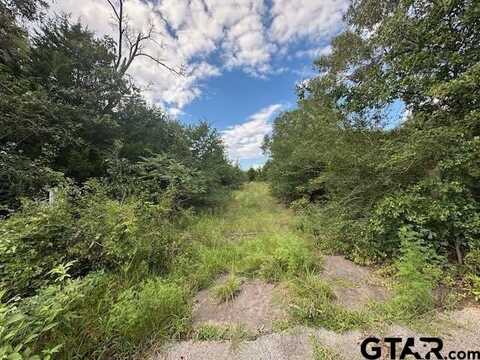 TBD VZ CR 1823, Grand Saline, TX 75140