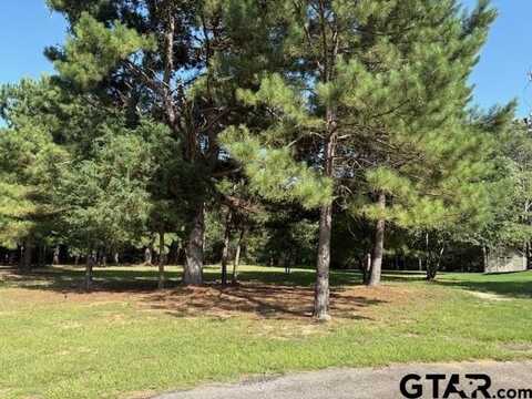 204 Pack Saddle, Holly Lake Ranch, TX 75765