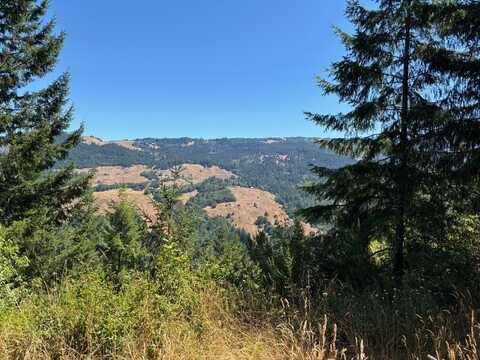 0000 Thorpe Lane, Kneeland, CA 95549