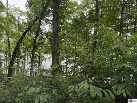 35 Penn Run Road, Bee Spring, KY 42207