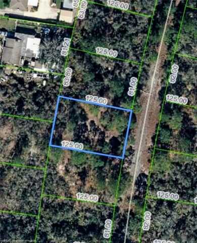 320 Blue Heaven Drive, Lake Placid, FL 33852