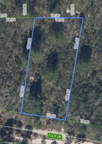 286 Tulip Drive, Lake Placid, FL 33852