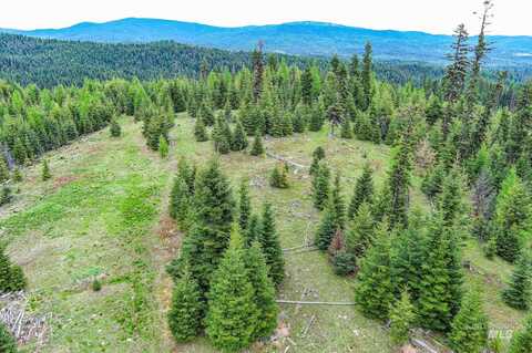 Tbd Parcel 8 Tree Farm Trails Road, Elk City, ID 83525