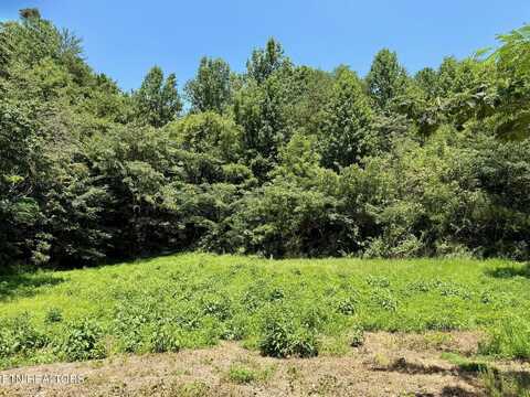 Lot 0000 Ogle Drive, Pigeon Forge, TN 37863